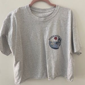 BRANDY MELVILLE Cropped Aleena Graphic Tee